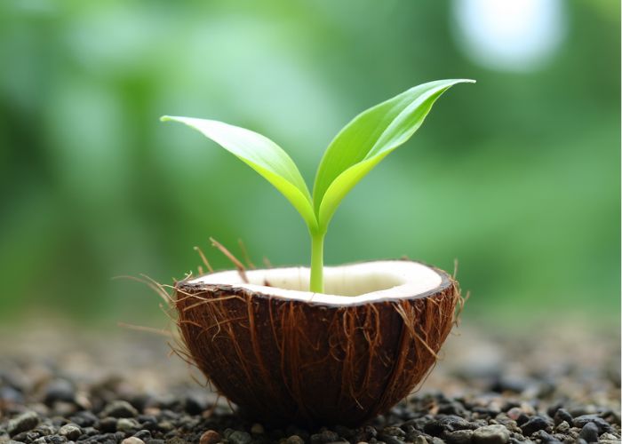 Gelungener Start unserer Stiftung – ein sehr herzliches … Dankeschön!!!